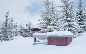 Yellowstone Residence