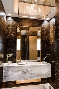 Harvard Belmont Renovation